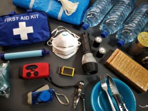 Cat First Aid: Your Essential Guide to Caring for Your Feline Friend in Emergencies