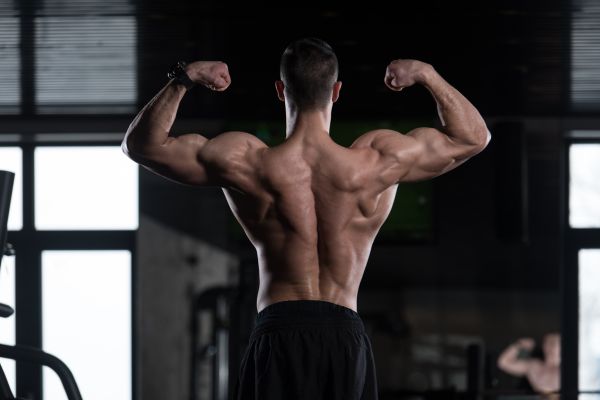 Muscle building diet for men