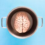 menopause brain fog